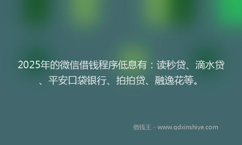 2025年的微信借钱程序低息有：读秒贷、滴水贷、平安口袋银行、拍拍贷、融逸花等。