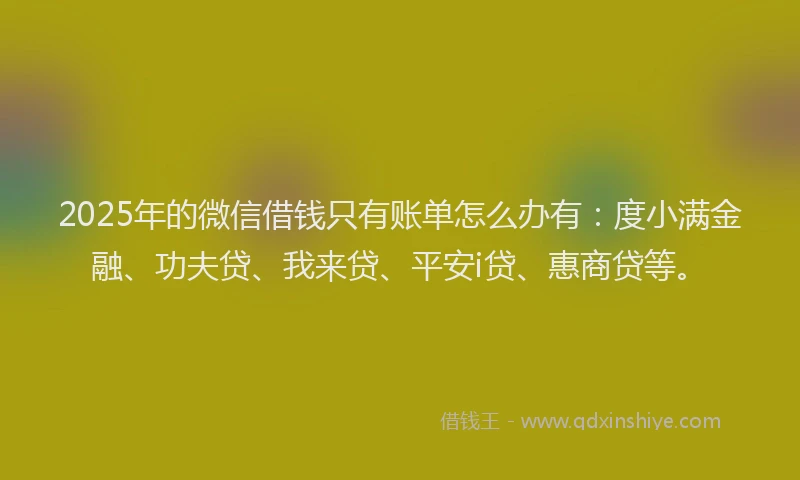 2025年的微信借钱只有账单怎么办有：度小满金融、功夫贷、我来贷、平安i贷、惠商贷等。
