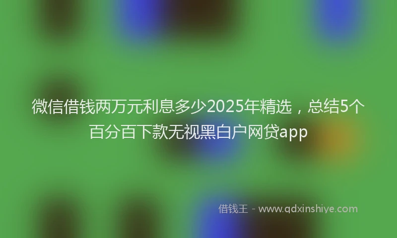 微信借钱两万元利息多少2025年精选，总结5个百分百下款无视黑白户网贷app