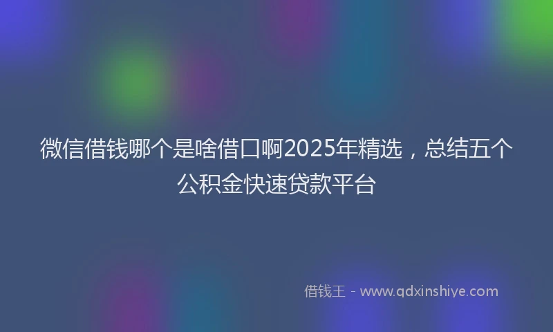 微信借钱哪个是啥借口啊2025年精选，总结五个公积金快速贷款平台
