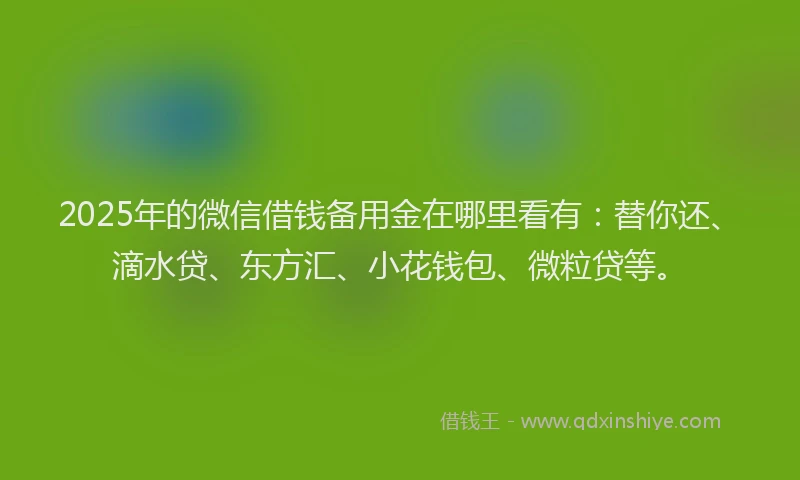 2025年的微信借钱备用金在哪里看有：替你还、滴水贷、东方汇、小花钱包、微粒贷等。