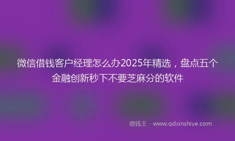 微信借钱客户经理怎么办2025年精选，盘点五个金融创新秒下不要芝麻分的软件