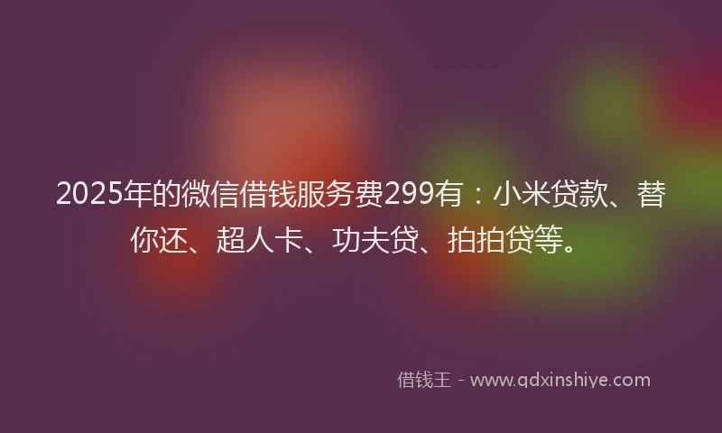 2025年的微信借钱服务费299有：小米贷款、替你还、超人卡、功夫贷、拍拍贷等。