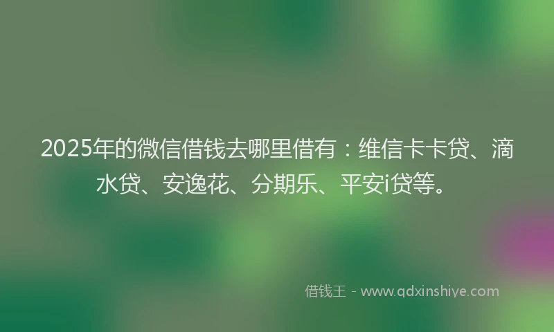 2025年的微信借钱去哪里借有：维信卡卡贷、滴水贷、安逸花、分期乐、平安i贷等。