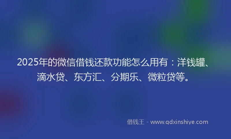 2025年的微信借钱还款功能怎么用有：洋钱罐、滴水贷、东方汇、分期乐、微粒贷等。