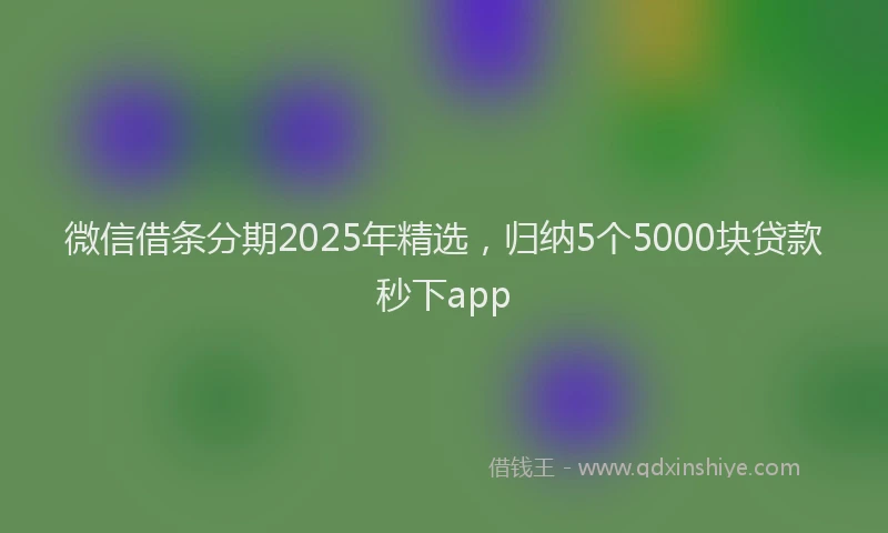 微信借条分期2025年精选，归纳5个5000块贷款秒下app