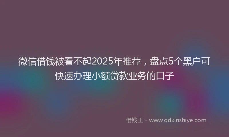 微信借钱被看不起2025年推荐，盘点5个黑户可快速办理小额贷款业务的口子