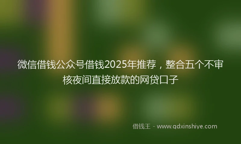 微信借钱公众号借钱2025年推荐，整合五个不审核夜间直接放款的网贷口子