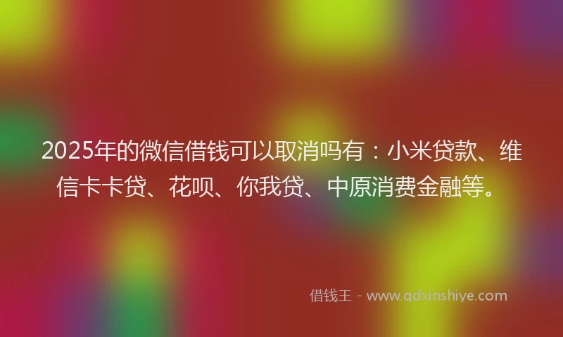 2025年的微信借钱可以取消吗有：小米贷款、维信卡卡贷、花呗、你我贷、中原消费金融等。