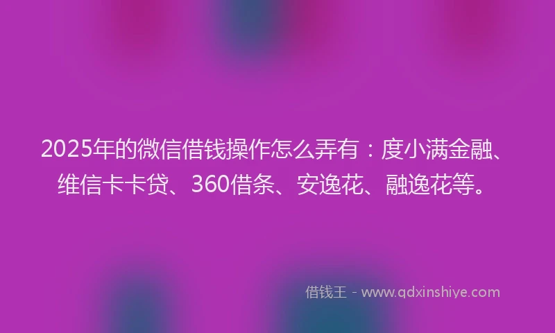 2025年的微信借钱操作怎么弄有：度小满金融、维信卡卡贷、360借条、安逸花、融逸花等。