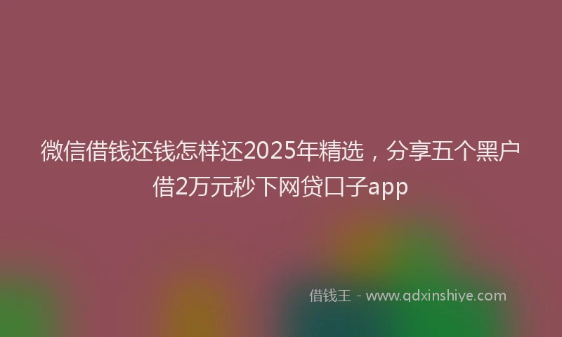 微信借钱还钱怎样还2025年精选，分享五个黑户借2万元秒下网贷口子app