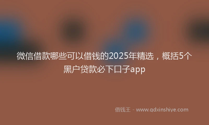 微信借款哪些可以借钱的2025年精选，概括5个黑户贷款必下口子app