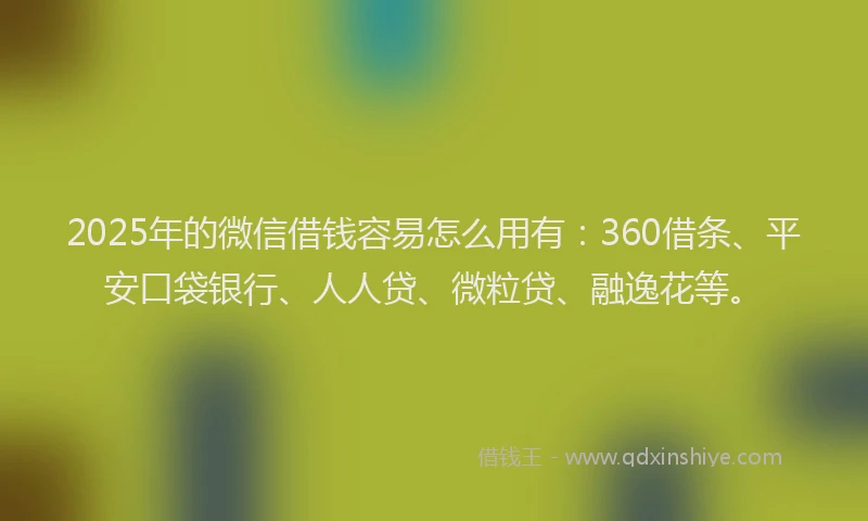 2025年的微信借钱容易怎么用有：360借条、平安口袋银行、人人贷、微粒贷、融逸花等。