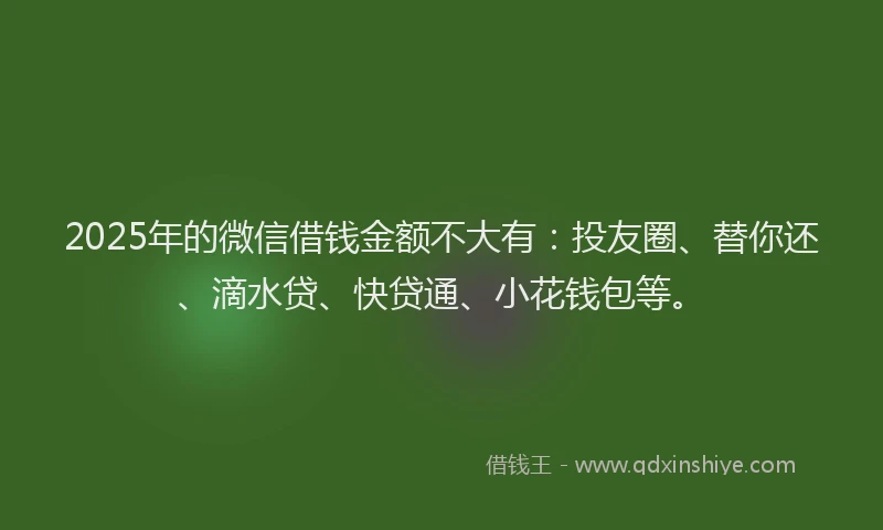 2025年的微信借钱金额不大有：投友圈、替你还、滴水贷、快贷通、小花钱包等。