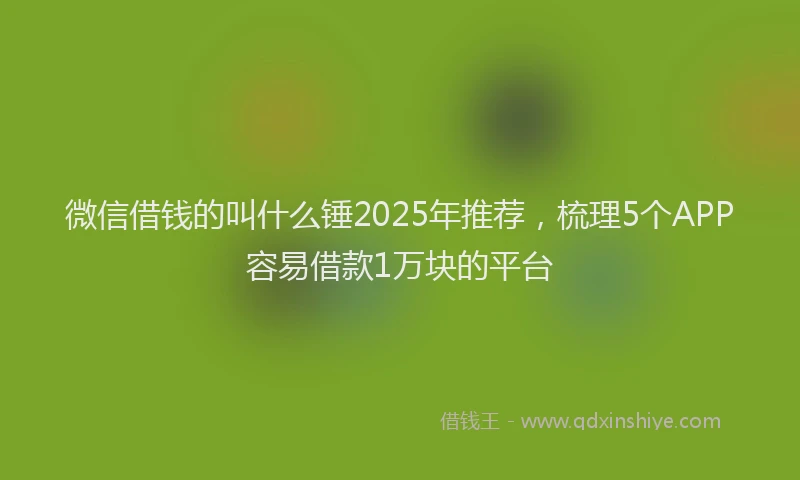 微信借钱的叫什么锤2025年推荐，梳理5个APP容易借款1万块的平台