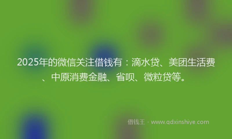 2025年的微信关注借钱有：滴水贷、美团生活费、中原消费金融、省呗、微粒贷等。