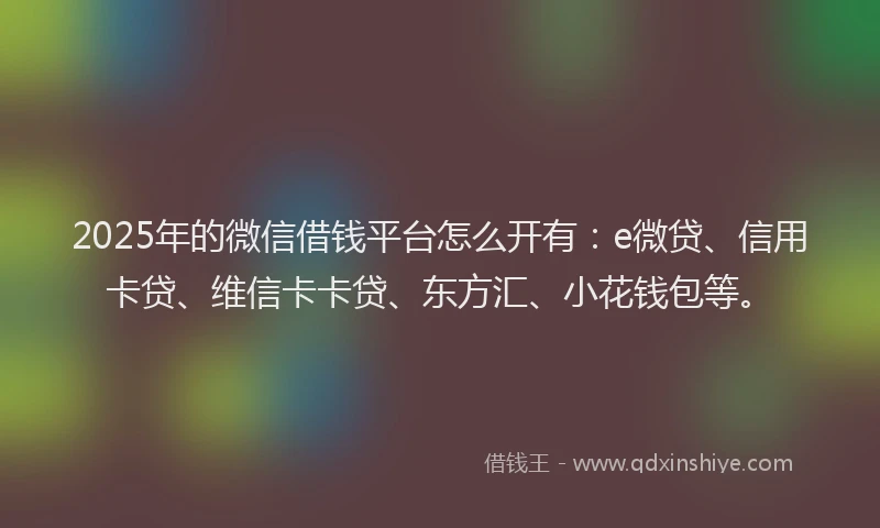 2025年的微信借钱平台怎么开有：e微贷、信用卡贷、维信卡卡贷、东方汇、小花钱包等。