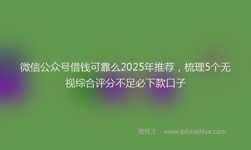 微信公众号借钱可靠么2025年推荐，梳理5个无视综合评分不足必下款口子