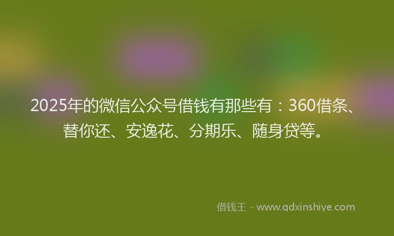 2025年的微信公众号借钱有那些有：360借条、替你还、安逸花、分期乐、随身贷等。
