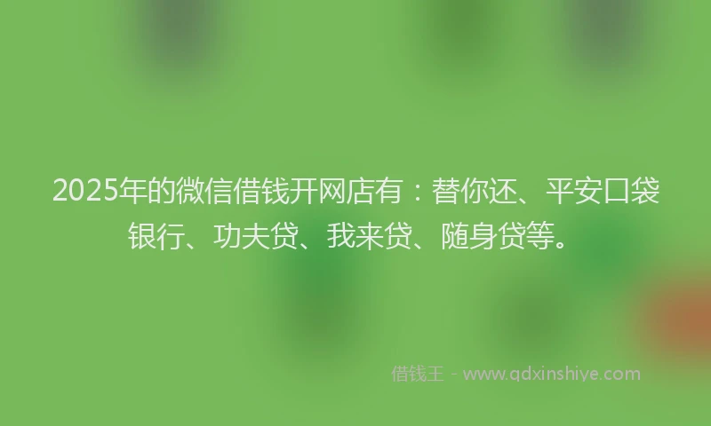 2025年的微信借钱开网店有：替你还、平安口袋银行、功夫贷、我来贷、随身贷等。