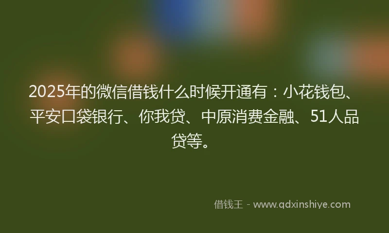 2025年的微信借钱什么时候开通有：小花钱包、平安口袋银行、你我贷、中原消费金融、51人品贷等。