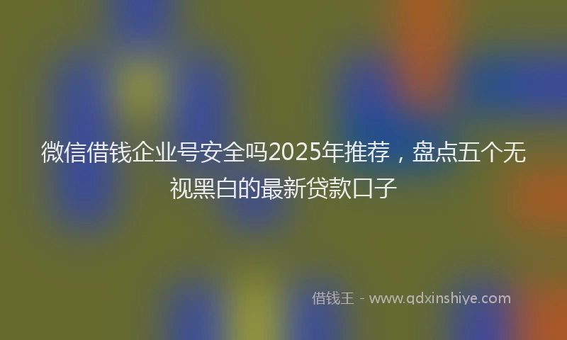 微信借钱企业号安全吗2025年推荐，盘点五个无视黑白的最新贷款口子
