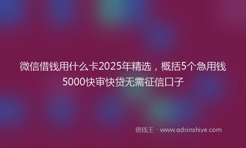 微信借钱用什么卡2025年精选，概括5个急用钱5000快审快贷无需征信口子