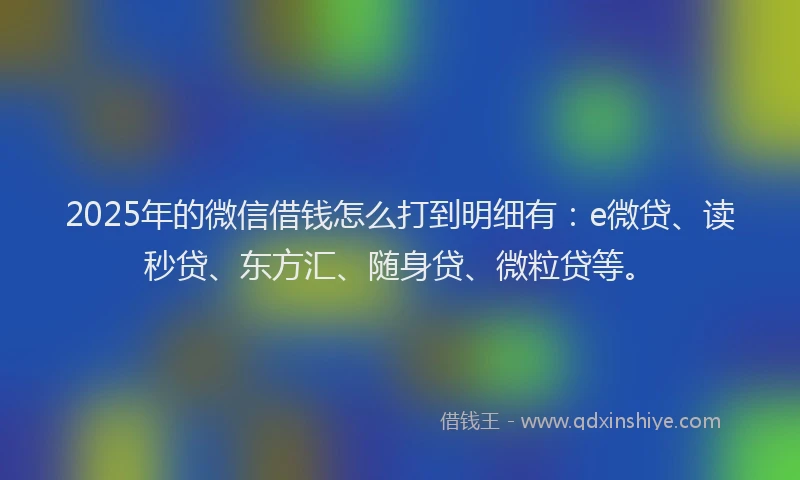2025年的微信借钱怎么打到明细有：e微贷、读秒贷、东方汇、随身贷、微粒贷等。