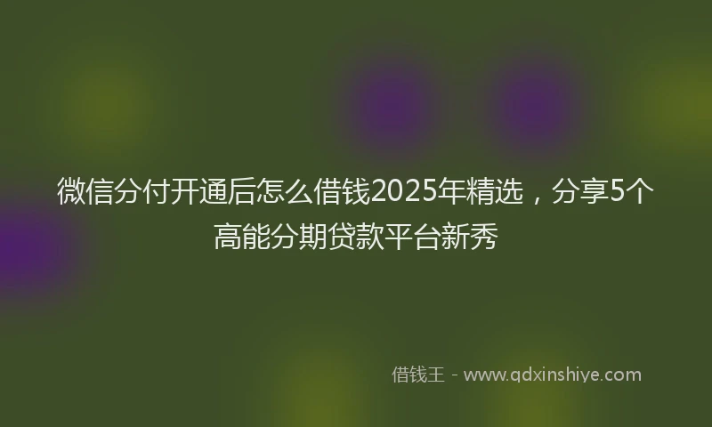 微信分付开通后怎么借钱2025年精选，分享5个高能分期贷款平台新秀