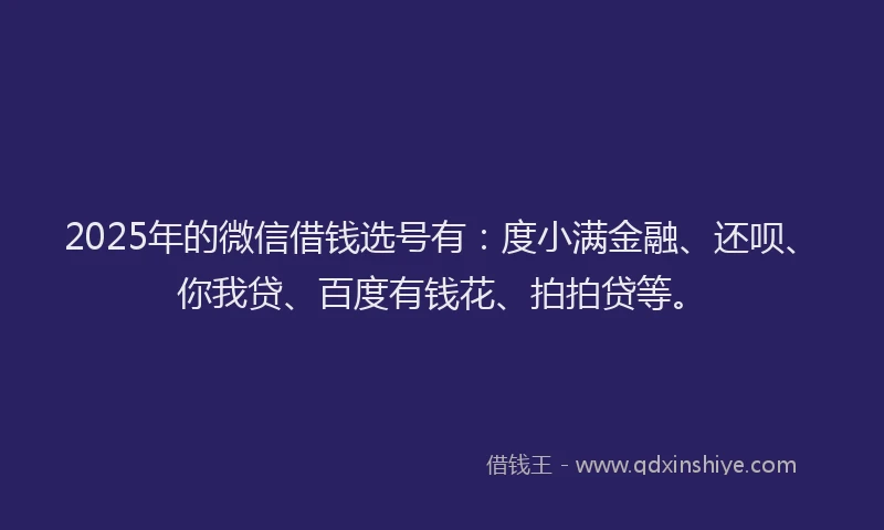 2025年的微信借钱选号有：度小满金融、还呗、你我贷、百度有钱花、拍拍贷等。