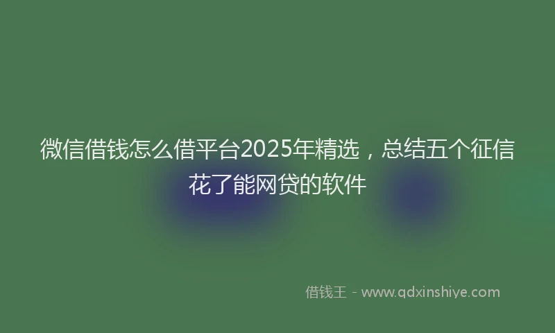微信借钱怎么借平台2025年精选，总结五个征信花了能网贷的软件