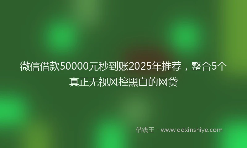 微信借款50000元秒到账2025年推荐，整合5个真正无视风控黑白的网贷