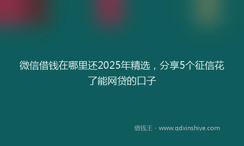 微信借钱在哪里还2025年精选，分享5个征信花了能网贷的口子