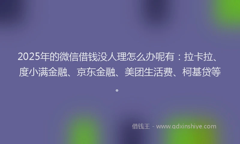 2025年的微信借钱没人理怎么办呢有：拉卡拉、度小满金融、京东金融、美团生活费、柯基贷等。