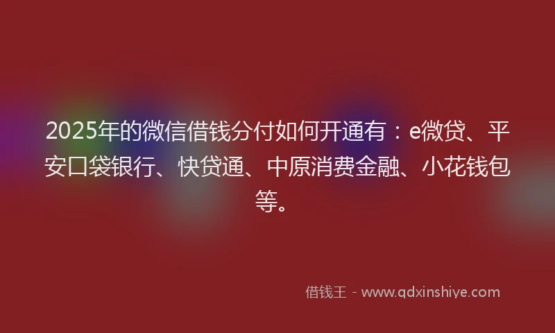 2025年的微信借钱分付如何开通有：e微贷、平安口袋银行、快贷通、中原消费金融、小花钱包等。