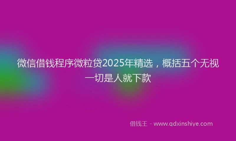 微信借钱程序微粒贷2025年精选，概括五个无视一切是人就下款