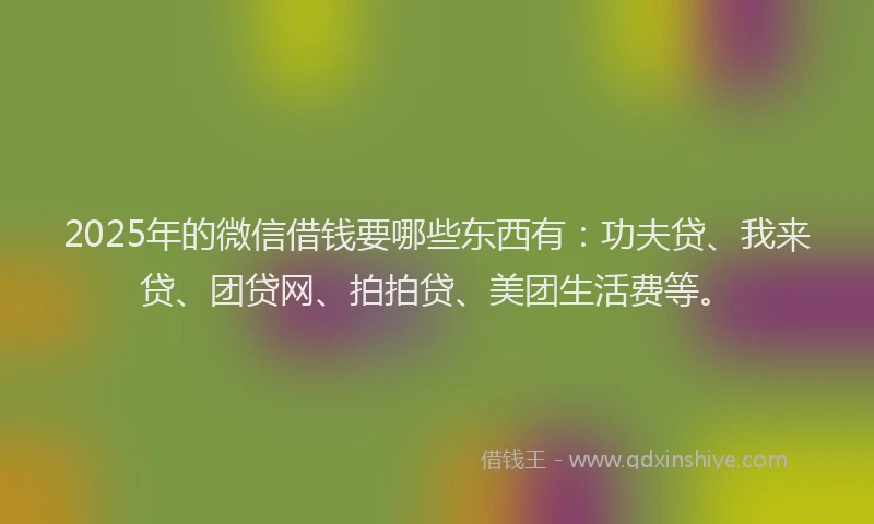 2025年的微信借钱要哪些东西有：功夫贷、我来贷、团贷网、拍拍贷、美团生活费等。