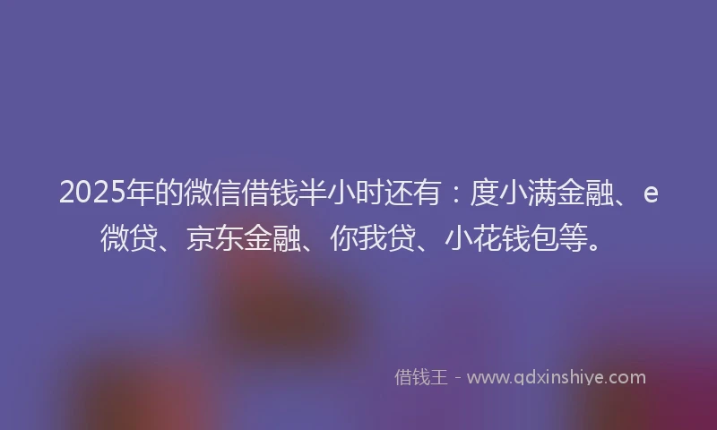 2025年的微信借钱半小时还有：度小满金融、e微贷、京东金融、你我贷、小花钱包等。