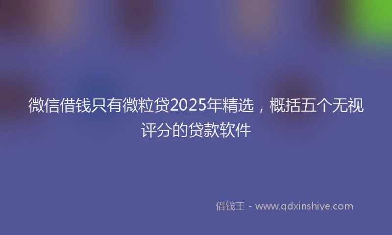 微信借钱只有微粒贷2025年精选，概括五个无视评分的贷款软件