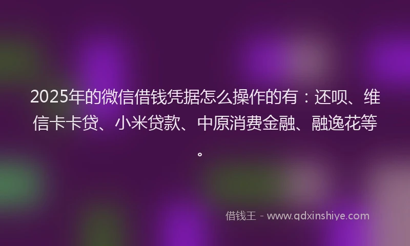 2025年的微信借钱凭据怎么操作的有：还呗、维信卡卡贷、小米贷款、中原消费金融、融逸花等。