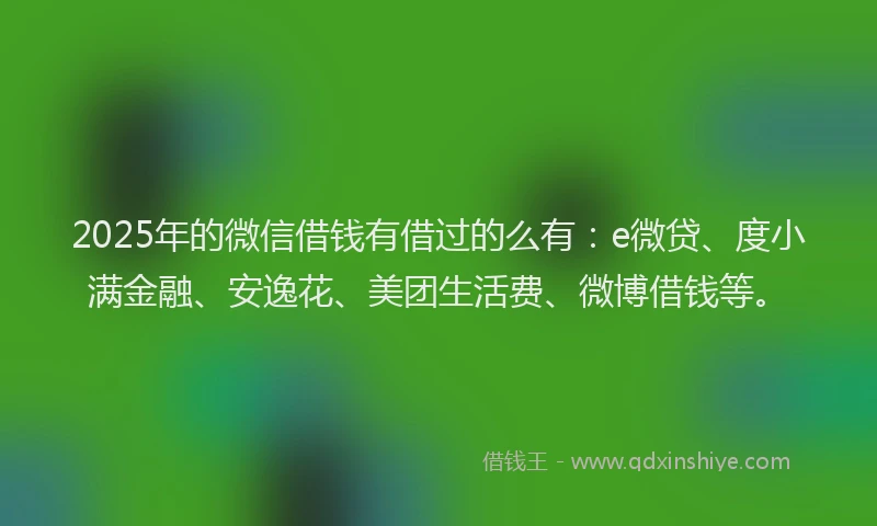 2025年的微信借钱有借过的么有：e微贷、度小满金融、安逸花、美团生活费、微博借钱等。