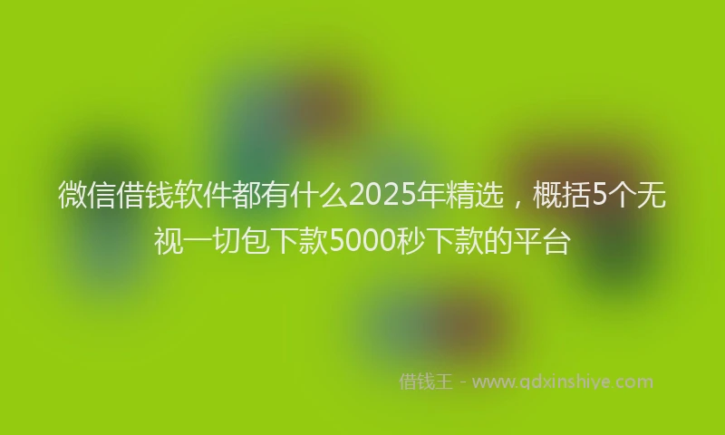 微信借钱软件都有什么2025年精选，概括5个无视一切包下款5000秒下款的平台