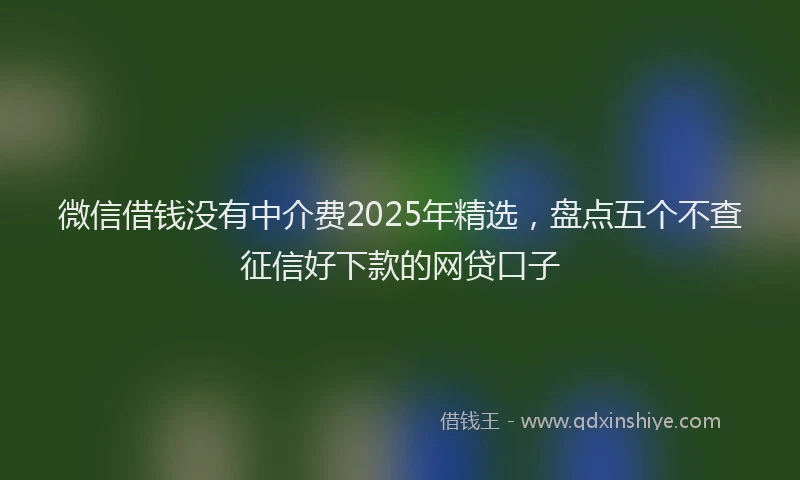 微信借钱没有中介费2025年精选，盘点五个不查征信好下款的网贷口子