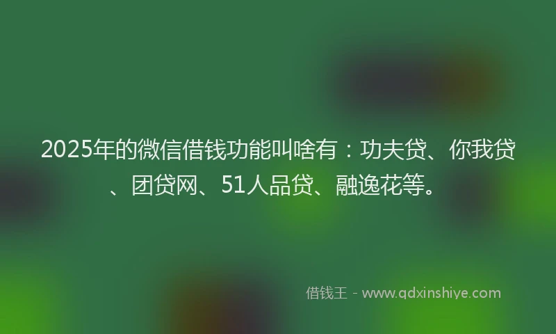 2025年的微信借钱功能叫啥有：功夫贷、你我贷、团贷网、51人品贷、融逸花等。