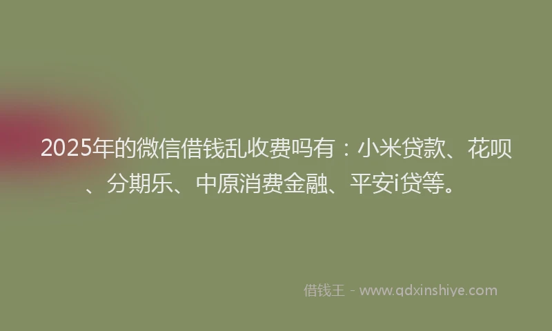 2025年的微信借钱乱收费吗有：小米贷款、花呗、分期乐、中原消费金融、平安i贷等。