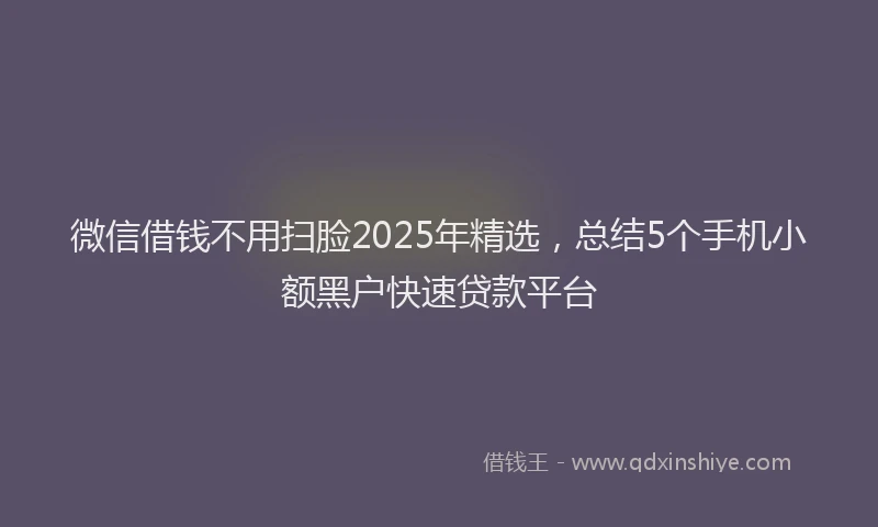 微信借钱不用扫脸2025年精选，总结5个手机小额黑户快速贷款平台