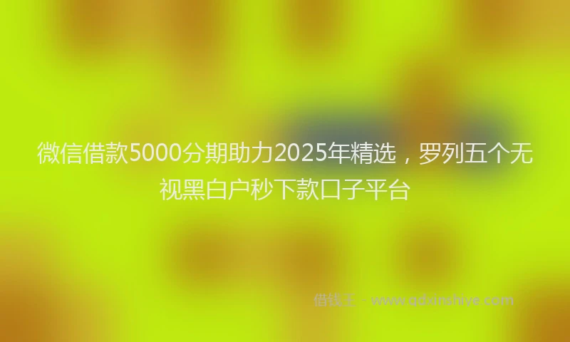 微信借款5000分期助力2025年精选，罗列五个无视黑白户秒下款口子平台