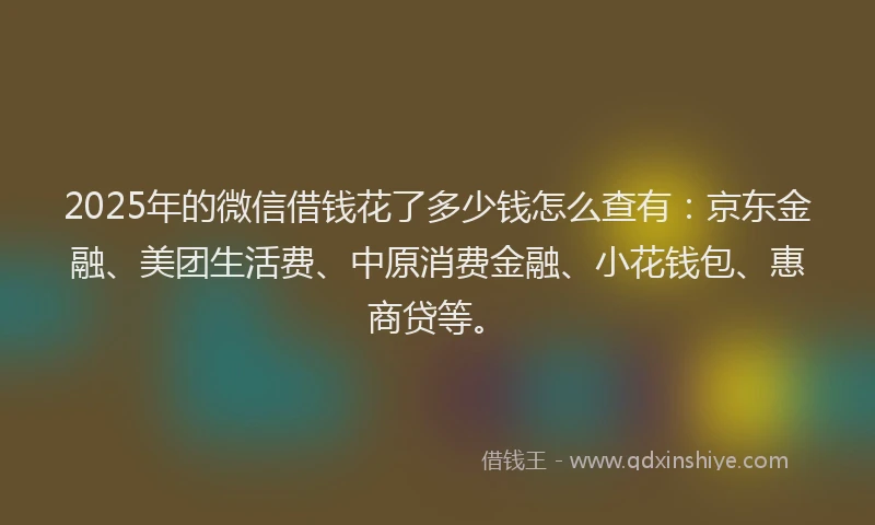2025年的微信借钱花了多少钱怎么查有：京东金融、美团生活费、中原消费金融、小花钱包、惠商贷等。