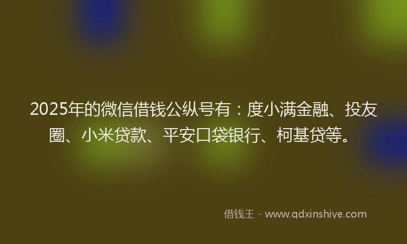 2025年的微信借钱公纵号有：度小满金融、投友圈、小米贷款、平安口袋银行、柯基贷等。