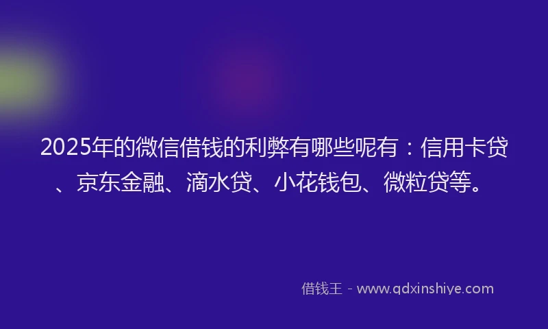 2025年的微信借钱的利弊有哪些呢有：信用卡贷、京东金融、滴水贷、小花钱包、微粒贷等。
